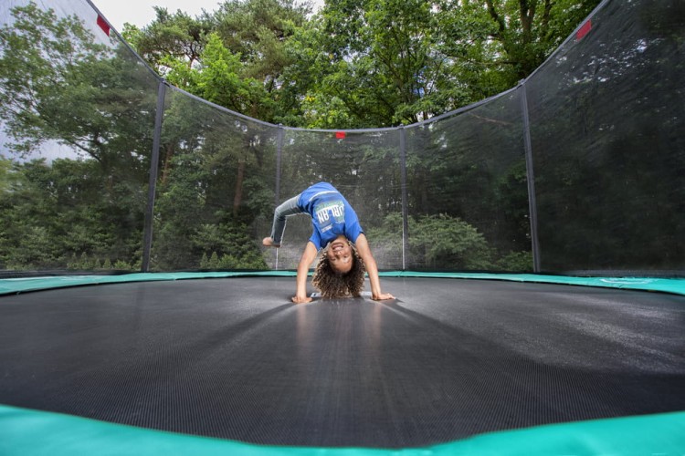 preview_BERG Favorit Green 430 + Safety Net Comfort 4.jpg