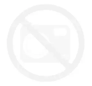24.20.71.00_8715839105414_BERG Buddy Purple_PI5.png